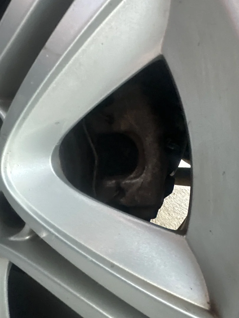 Foto de PINZA DE FRENO TRASERA IZQUIERDA SAAB 9-3 BERLINA 1.9 TiD CAT (150 CV / 110 KW)