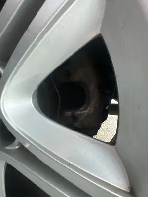 Foto de PINZA DE FRENO TRASERA IZQUIERDA SAAB 9-3 BERLINA 1.9 TiD CAT (150 CV / 110 KW)