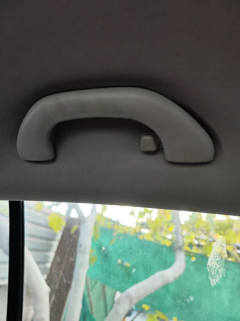 Foto de ASIDERO TECHO TRASERO IZQUIERDO VOLKSWAGEN GOLF PLUS V (5M1) 1.9 TDI (105 CV / 77 KW)