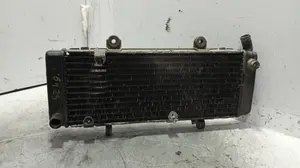 Foto de RADIADOR AGUA HONDA CBR 600 F / CBR 600 RR 598 cm3 - 68 kW (92 CV / 68 KW)