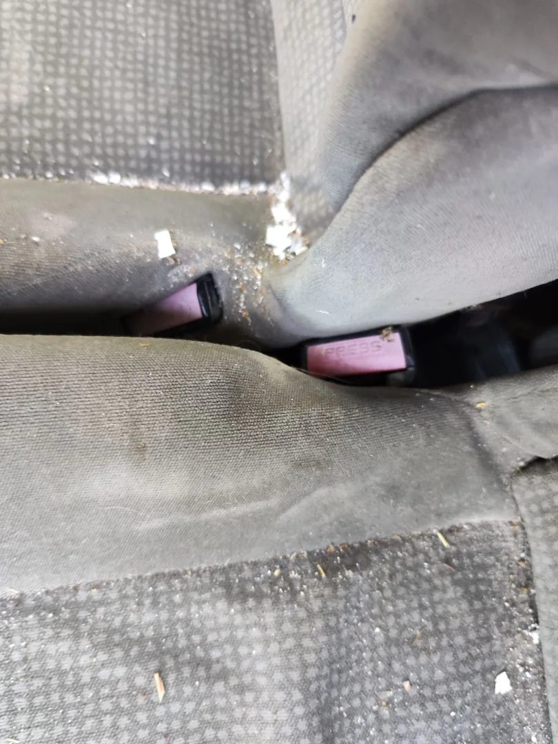 Foto de ENGANCHE CINTURON TRASERO IZQUIERDO RENAULT SCENIC I (JA...) 1.9 dCi Diesel CAT (102 CV / 75 KW)