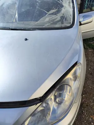 Foto de CAPO PEUGEOT 307 BREAK/ SW (S2) 2.0 16V HDi FAP CAT (RHR / DW10BTED4) (136 CV / 100 KW) foto 3