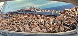 Foto de BRAZO LIMPIA DELANTERO IZQUIERDO FORD MONDEO BERLINA (GE) 2.0 CAT (146 CV / 107 KW) referencia 1129363 foto 5