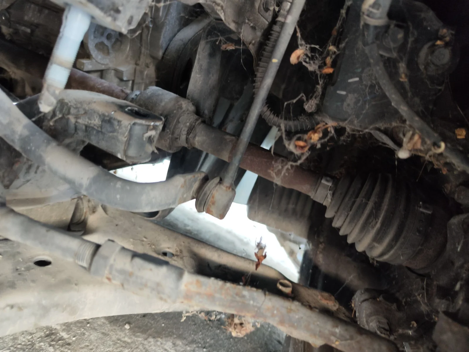 Foto de BARRA ESTABILIZADORA DELANTERA KIA CEED (JD) 1.4 CAT (99 CV / 73 KW)