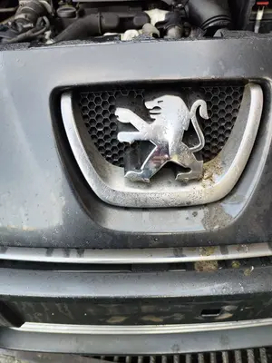 Foto de REJILLA DELANTERA PEUGEOT 5008 1.6 HDi FAP CAT (9HZ / DV6TED4) (109 CV / 80 KW)