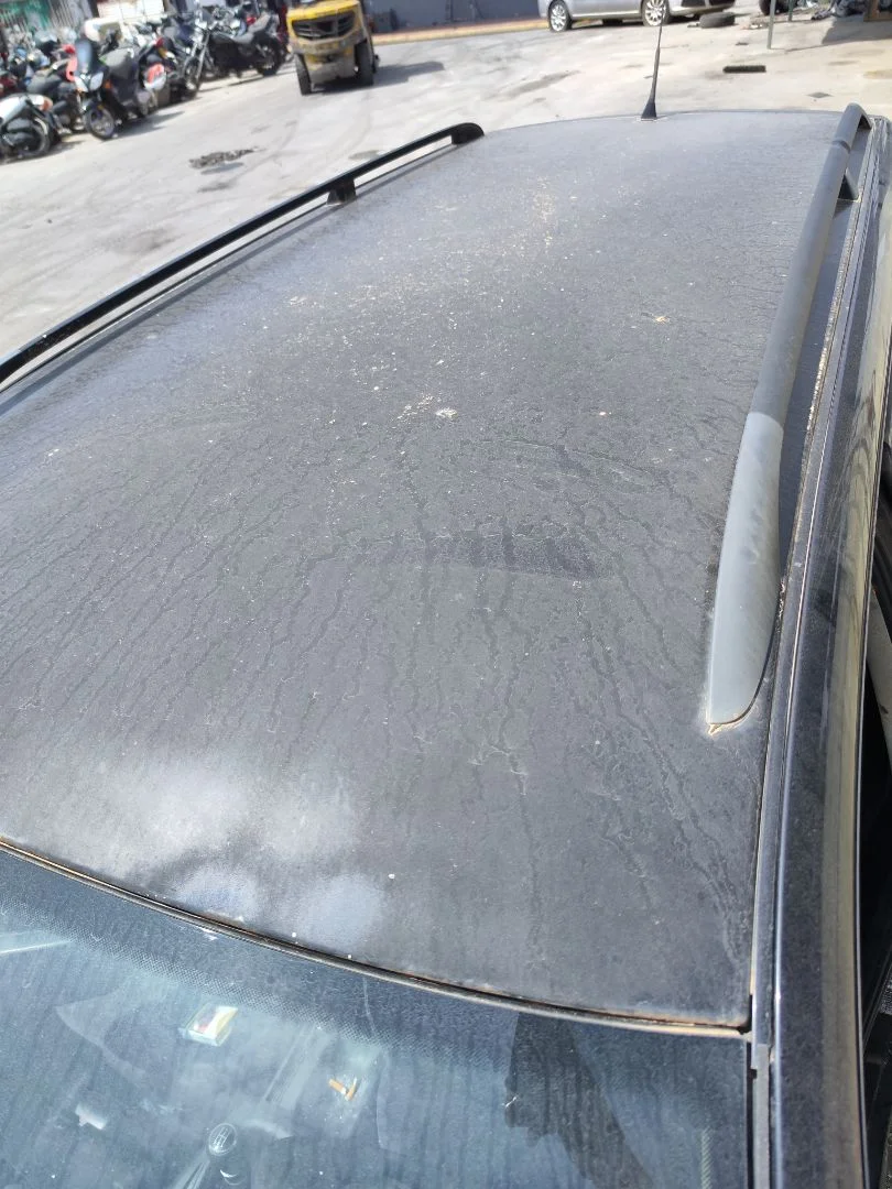 Foto de TECHO VOLKSWAGEN PASSAT VARIANT (3B5) 1.9 TDI (110 CV / 81 KW)
