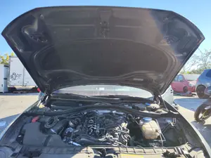 Foto de CAPO AUDI A6 AVANT (4GD) 2.0 16V TDI (190 CV / 140 KW) referencia 4G0823029A