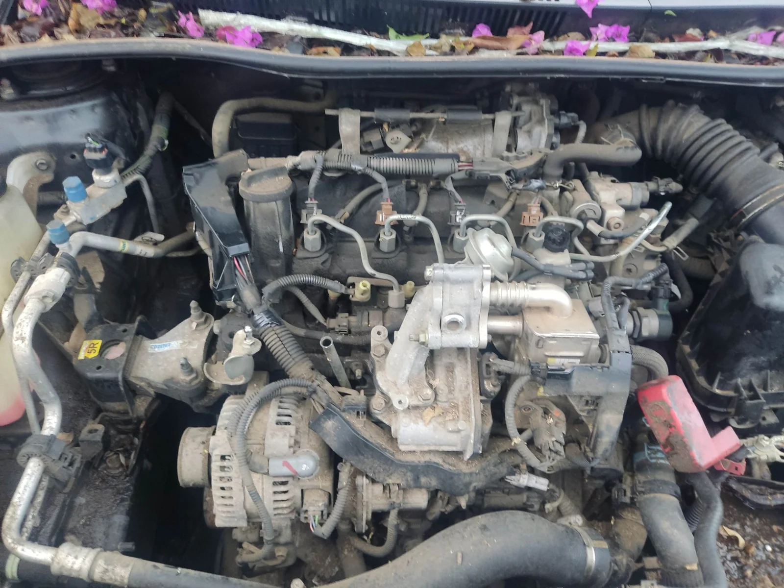 Foto de DESPIECE MOTOR TOYOTA COROLLA (E15) 1.4 Turbodiesel CAT (90 CV / 66 KW)