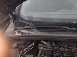 Foto de BRAZO LIMPIA DELANTERO DERECHO PEUGEOT 308 1.6 16V HDi (90 CV / 66 KW) referencia 9680477280