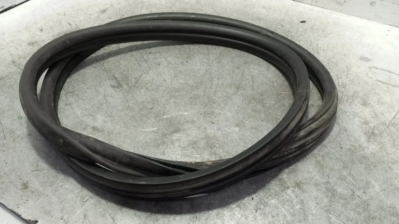 Foto de GOMAS CONTORNO PUERTA TESLA MODEL 3 eléctrico 258 kW (cont. 153 kW) (350 CV / 258 KW)