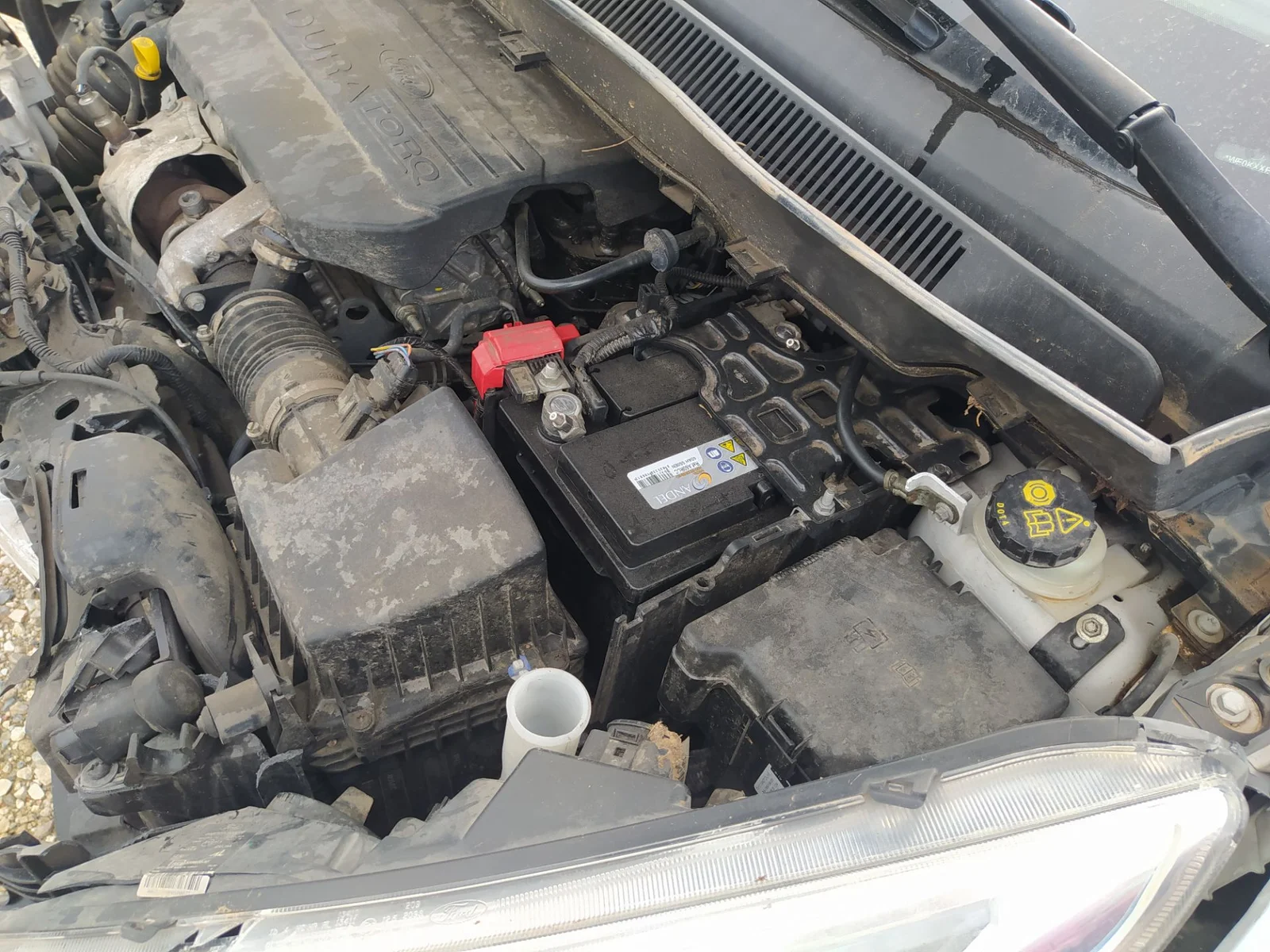 Foto de SERVOFRENO FORD FIESTA (CNN) 1.5 TDCi CAT (75 CV / 55 KW) referencia 1940316