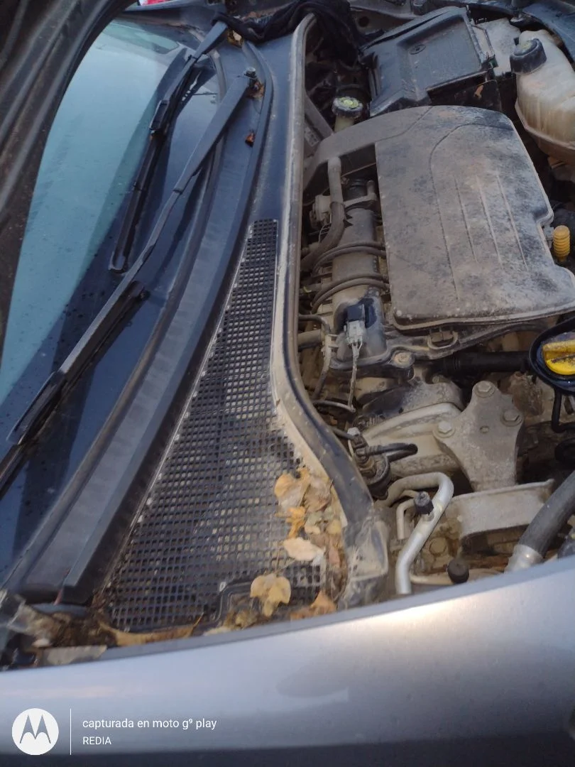 Foto de TORPEDO RENAULT CLIO III 1.2 16V (75 CV / 55 KW)
