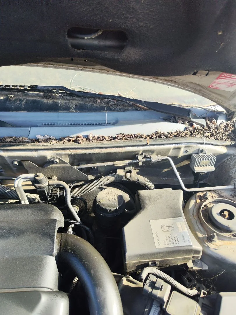 Foto de BRAZO LIMPIA DELANTERO IZQUIERDO VOLVO S40 BERLINA 1.9 Diesel CAT (116 CV / 85 KW) referencia 30874355