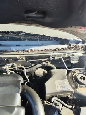 Foto de BRAZO LIMPIA DELANTERO IZQUIERDO VOLVO S40 BERLINA 1.9 Diesel CAT (116 CV / 85 KW) referencia 30874355