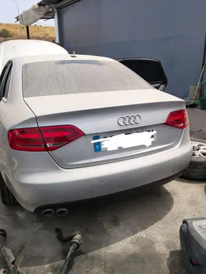 Foto de PORTON TRASERO AUDI A4 BERLINA (8K2) 2.0 16V TDI (143 CV / 105 KW) foto 1