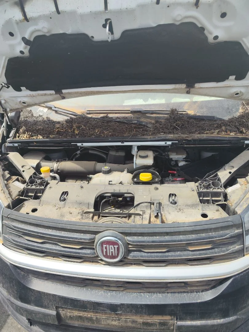 Foto de TORPEDO FIAT TALENTO FURGÓN (296) 2.0 Turbodiesel Ecojet (119 CV / 88 KW) referencia 6000617917