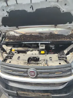 Foto de TORPEDO FIAT TALENTO FURGÓN (296) 2.0 Turbodiesel Ecojet (119 CV / 88 KW) referencia 6000617917