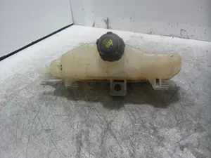 Foto de DEPOSITO EXPANSION RENAULT CLIO III 1.2 (75 CV / 55 KW) referencia 8200149742 foto 5