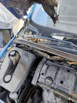 Foto de BRAZO LIMPIA DELANTERO DERECHO PEUGEOT 307 (S1)(04.2001) 1.6 16V CAT (109 CV / 80 KW) referencia 6429T0