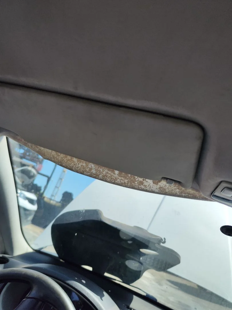 Foto de PARASOL IZQUIERDO SEAT LEON (1M1) 1.9 TDI (90 CV / 66 KW)