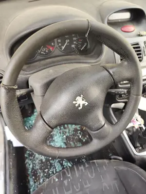 Foto de AIRBAG DELANTERO IZQUIERDO PEUGEOT 206 1.6 16V CAT (109 CV / 80 KW)