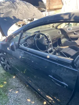 Foto de PUERTA DELANTERA IZQUIERDA PEUGEOT 307 CC CABRIO-COUPÉ (S2) 2.0 16V HDi FAP CAT (RHR / DW10BTED4) (136 CV / 100 KW) referencia 9002Y7