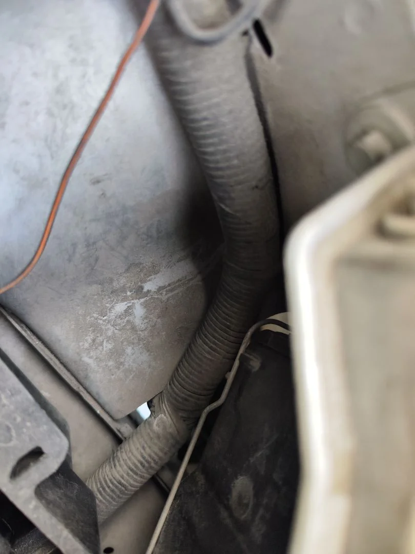Foto de CLAXON FORD FOCUS FAMILIAR (CAK) 1.8 TDCi Turbodiesel CAT (116 CV / 85 KW)
