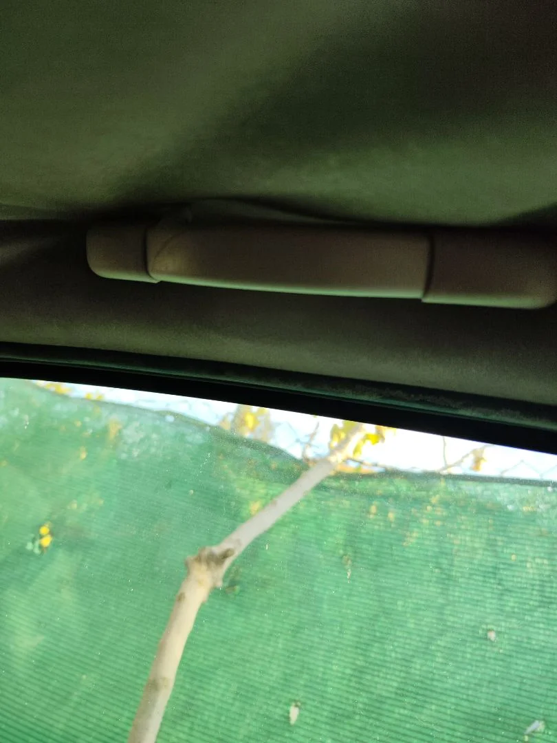 Foto de ASIDERO TECHO TRASERO IZQUIERDO PEUGEOT 307 (S1)(04.2001) 1.6 16V CAT (109 CV / 80 KW)