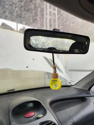 Foto de RETROVISOR INTERIOR PEUGEOT 206 1.6 16V CAT (109 CV / 80 KW)