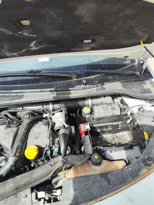 Foto de TORPEDO RENAULT CLIO III 1.5 dCi Diesel FAP (75 CV / 55 KW)
