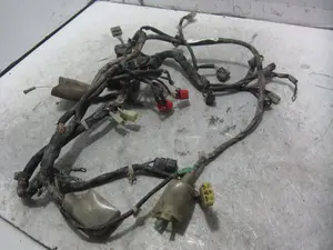 Foto de CABLEADO ELECTRICO HONDA PCX 125 125 cm3 - 8.6 kW (0 CV / 0 KW) referencia 26214 - 32100K35T010