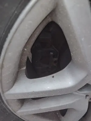 Foto de PINZA DE FRENO TRASERA DERECHA BMW SERIE X5 (E53) 3.0 Turbodiesel CAT (218 CV / 160 KW)