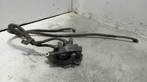 Foto de NO IDENTIFICADO HONDA PCX 125 125 cm3 - 8.6 kW (0 CV / 0 KW)