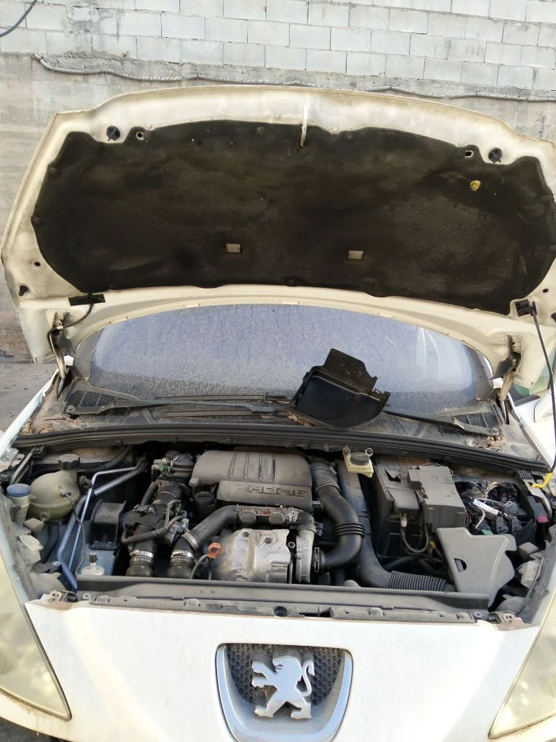 Foto de CAPO PEUGEOT 308 SW 1.6 HDi FAP CAT (9HZ / DV6TED4) (109 CV / 80 KW)