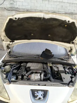 Foto de CAPO PEUGEOT 308 SW 1.6 HDi FAP CAT (9HZ / DV6TED4) (109 CV / 80 KW)