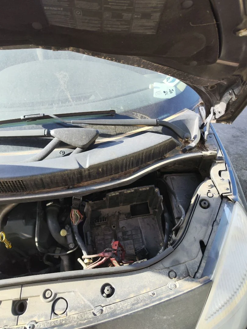 Foto de BRAZO LIMPIA DELANTERO IZQUIERDO RENAULT SCENIC II (JM) 1.5 dCi Diesel (106 CV / 78 KW)