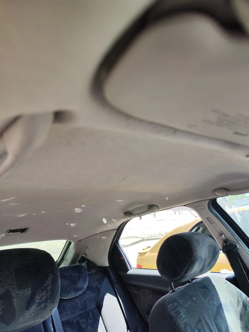 Foto de TECHO INTERIOR CITROEN XSARA BERLINA 2.0 HDi CAT (RHY / DW10TD) (90 CV / 66 KW)