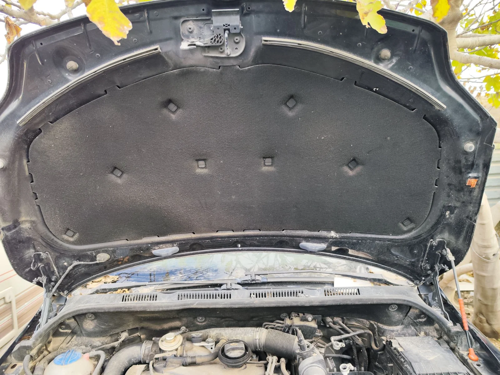 Foto de CAPO VOLKSWAGEN GOLF PLUS V (5M1) 1.9 TDI (105 CV / 77 KW)