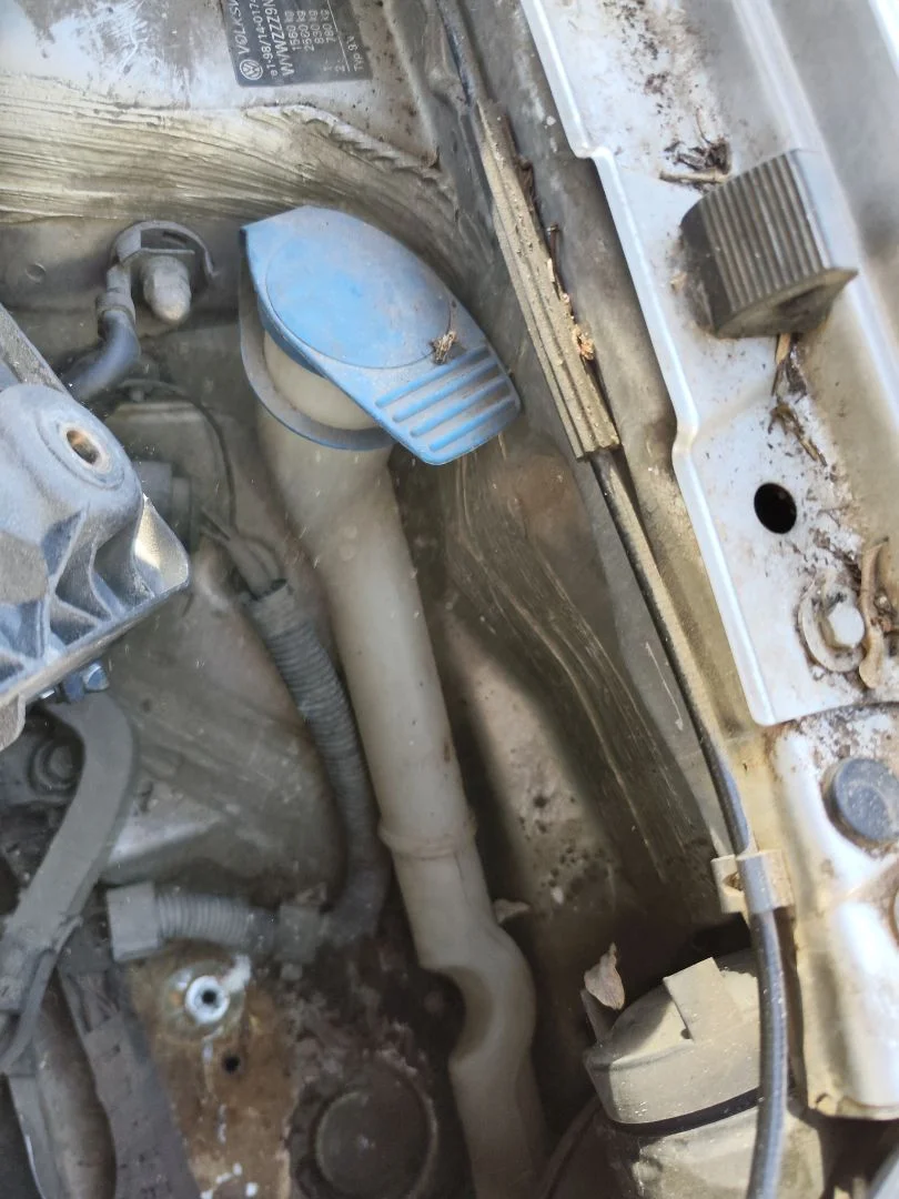 Foto de DEPOSITO LIMPIA VOLKSWAGEN POLO IV (9N1) 1.4 16V (75 CV / 55 KW)