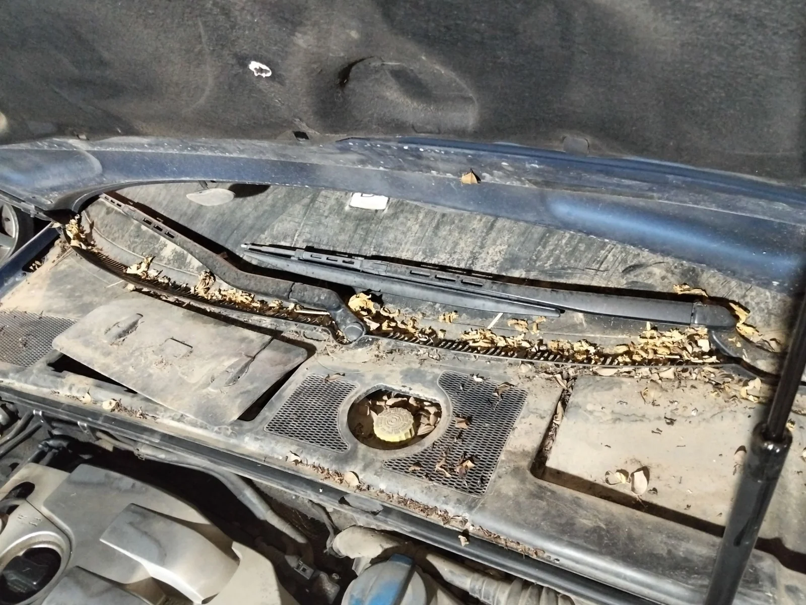 Foto de MOTOR LIMPIA DELANTERO AUDI A4 BERLINA (8E)