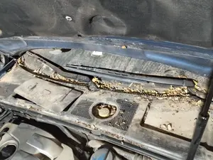 Foto de MOTOR LIMPIA DELANTERO AUDI A4 BERLINA (8E)