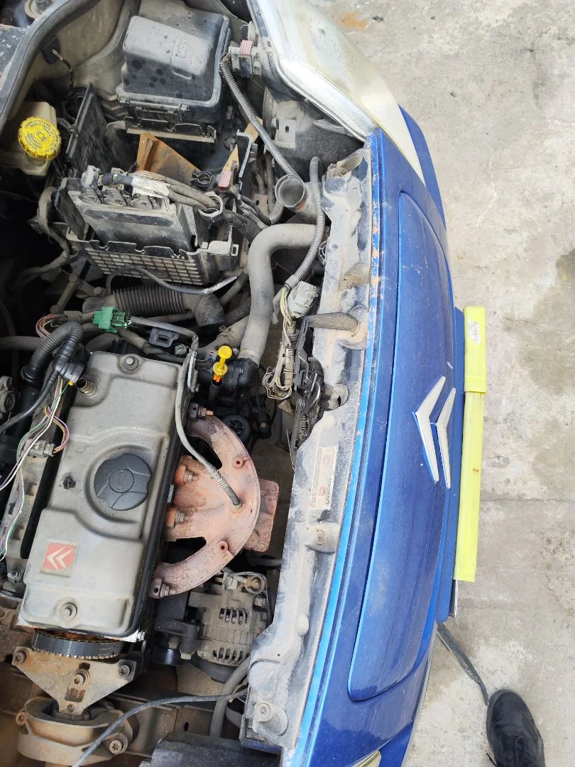 Foto de PANEL FRONTAL CITROEN C2 1.1 (60 CV / 44 KW)