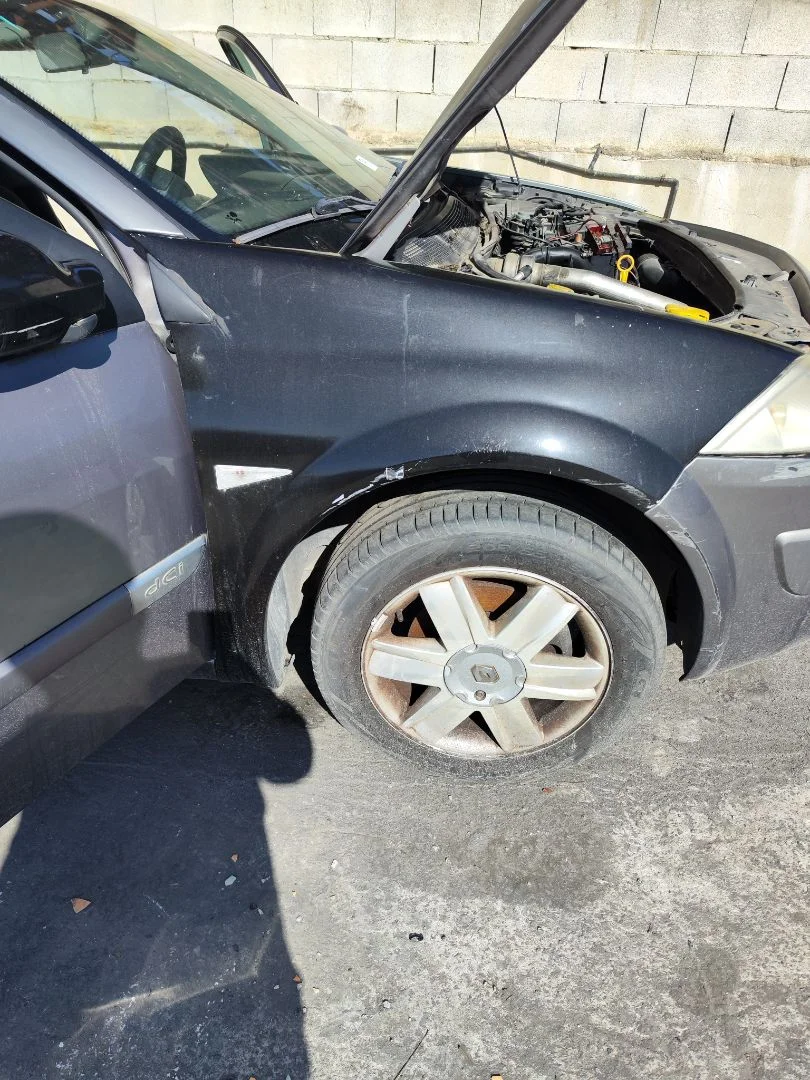 Foto de ALETA DELANTERA DERECHA RENAULT MEGANE II BERLINA 5P 1.5 dCi Diesel (101 CV / 74 KW)