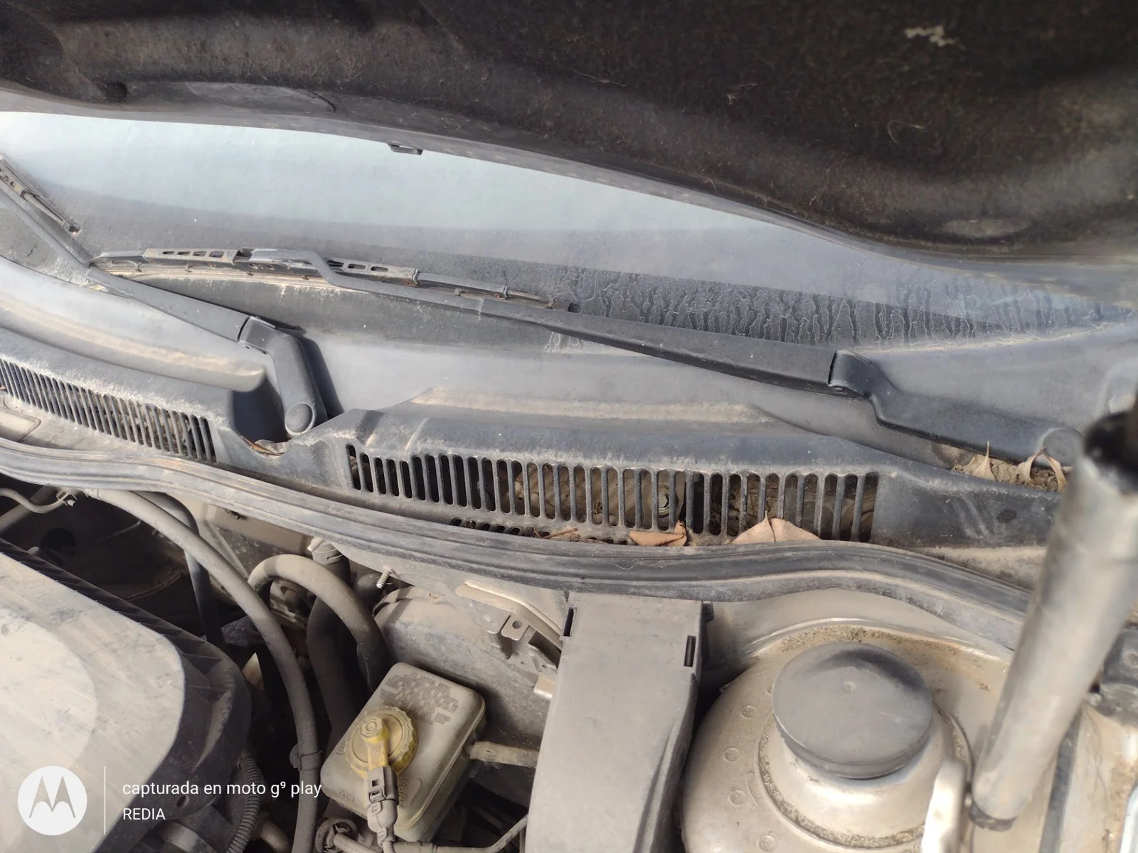 Foto de MOTOR LIMPIA DELANTERO VOLKSWAGEN GOLF IV BERLINA (1J1)(10.1997) 1.6 16V (105 CV / 77 KW)