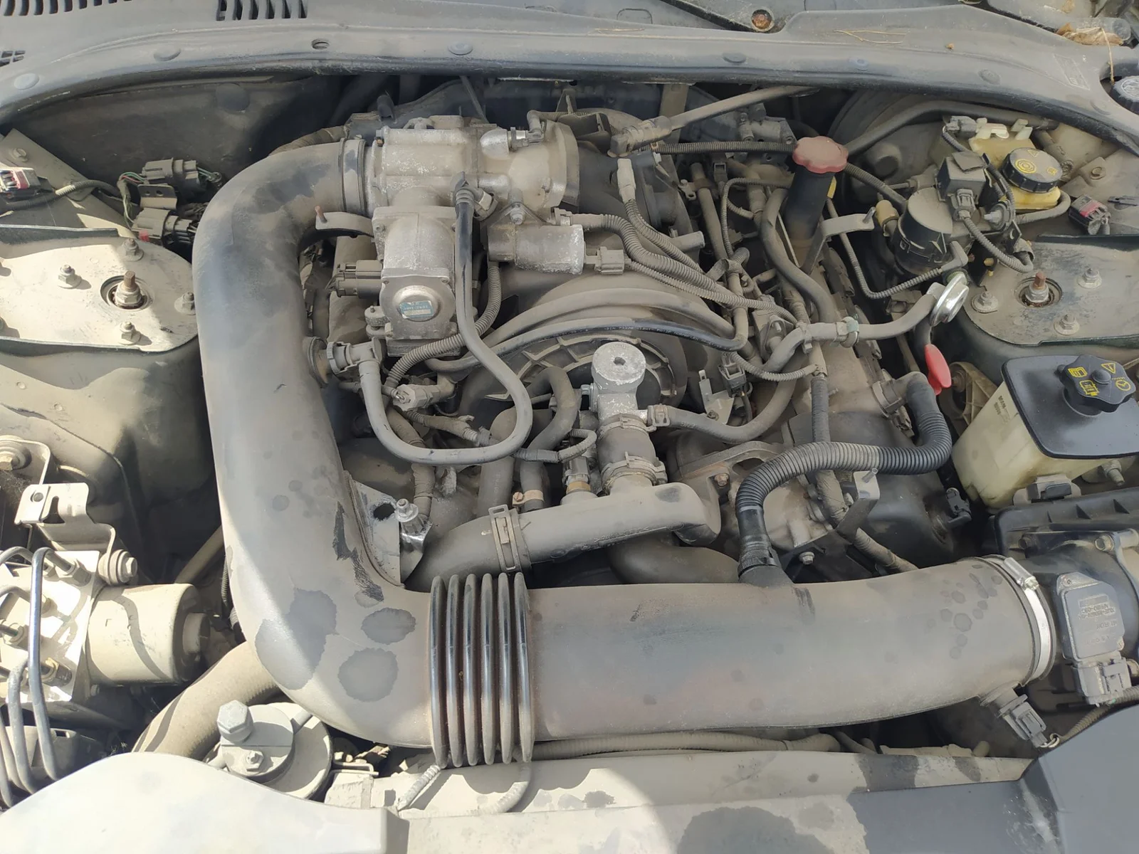 Foto de COMPRESOR AIRE ACONDICIONADO JAGUAR S-TYPE (03.1999) 4.0 V8 32V CAT (276 CV / 203 KW)