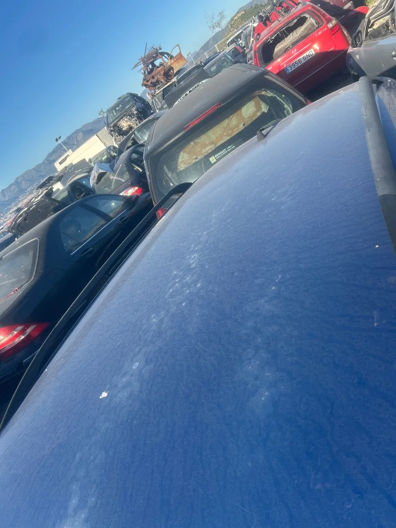 Foto de TECHO SKODA FABIA COMBI (5J5) 1.4 TDI (80 CV / 59 KW) referencia 5J9817111