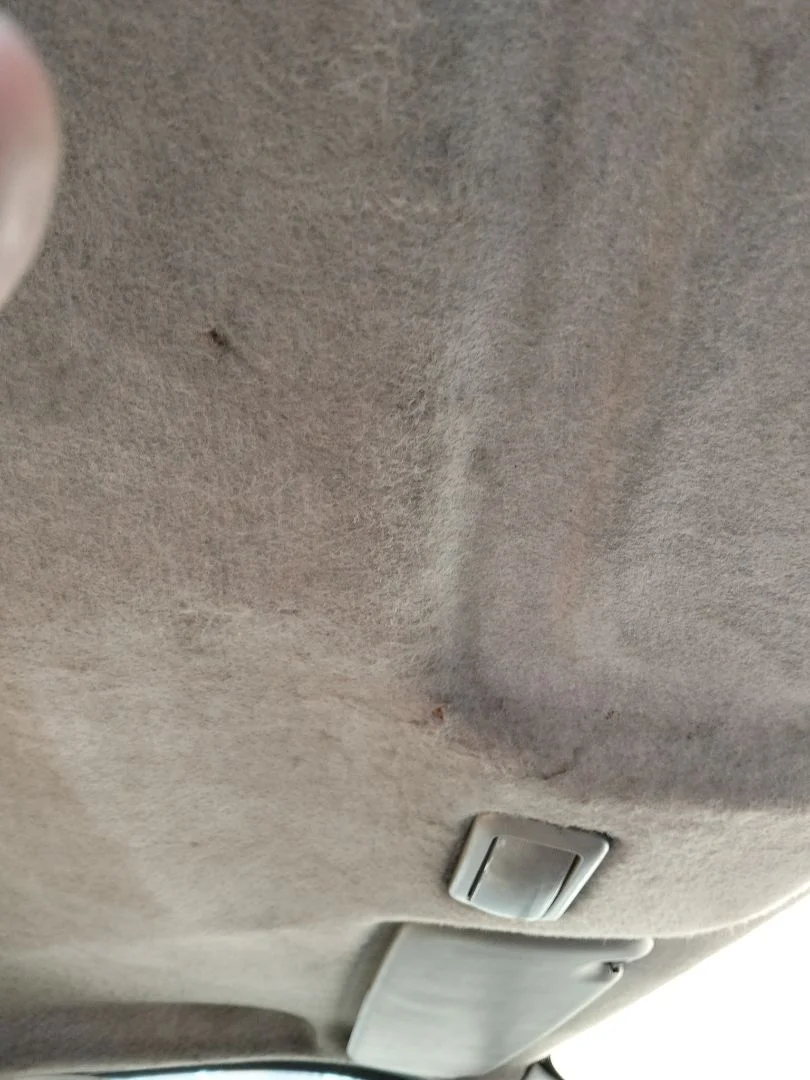 Foto de TECHO INTERIOR RENAULT TRAFIC II COMBI 1.9 Diesel (101 CV / 74 KW)