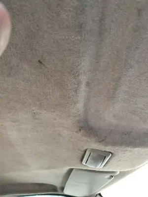 Foto de TECHO INTERIOR RENAULT TRAFIC II COMBI 1.9 Diesel (101 CV / 74 KW)