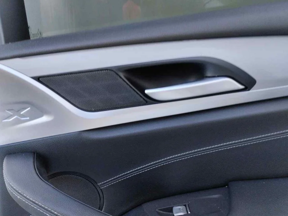 Foto de MANETA INTERIOR TRASERA DERECHA BMW SERIE X3 (G01) 3.0 24V Turbodiesel (265 CV / 195 KW)