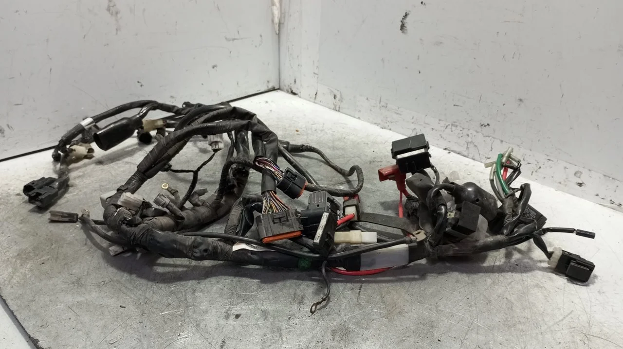 Foto de CABLEADO ELECTRICO HONDA CBR 600 F / CBR 600 RR 598 cm3 - 68 kW (92 CV / 68 KW)